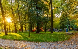 Budżet Obywatelski - Modernizacja parku NOT w Szczygłowicach (3)