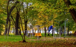 Budżet Obywatelski - Modernizacja parku NOT w Szczygłowicach (5)